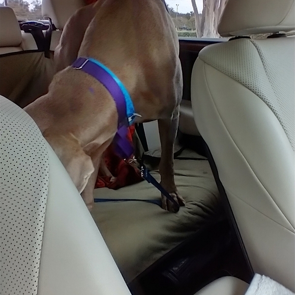 SEAGRASS SILK BEADED HANDMADE DRESS NWT - Picture 15 of 15